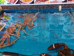 -俏东方·海味水饺·青岛菜(崂山店)