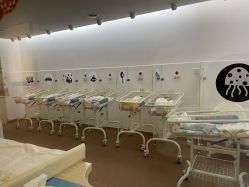 -海豚湾高端月子会所(黄浦店)