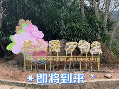 -梧桐山风景名胜区