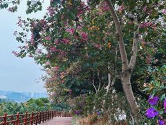 -广州莲花山旅游区