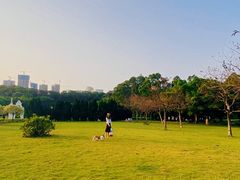 -南沙蒲洲花园
