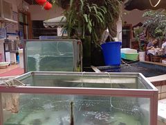 水产区-稻香村鱼庄