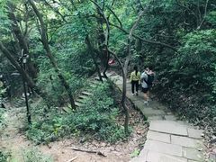 -杭州半山国家森林公园