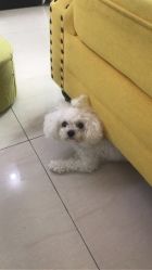 -肌理言健康美肌驻颜所