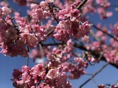 -丽江泸沽湖景区