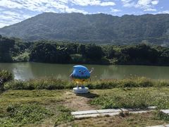 -风云岭森林公园