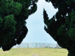-小麦岛公园
