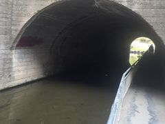 -白水寺森林公园