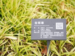 -上海山野camping·户外天幕烧烤·团建拓展营地
