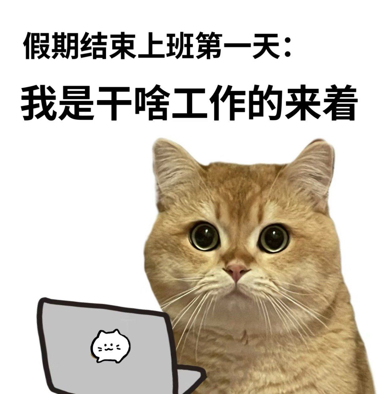 当代年轻人开工现状