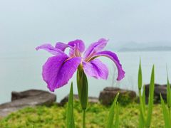 -东钱湖小普陀景区