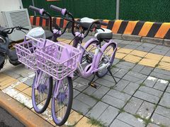 -五道口枣糕王(成府路店)