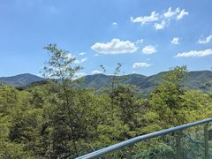 -陶祖圣境风景区