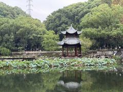 -忠山公园