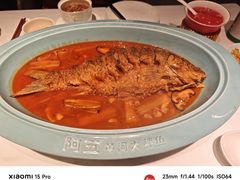 -阿五黄河大鲤鱼(英协路店)