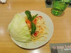 -mango tree芒果树(万象城店)