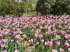 -郑州中国绿化博览园