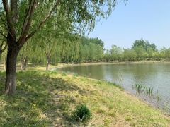 -东郊湿地公园