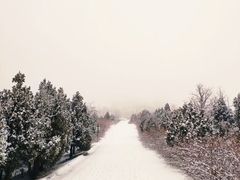 -鬼笑石后山停车场