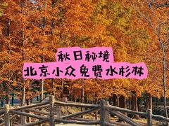 -白水寺森林公园
