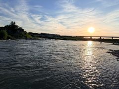 -绿堤公园