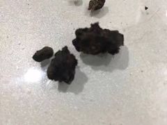 -子乐宠物医院