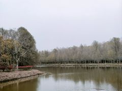 -上海海湾国家森林公园