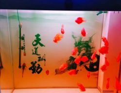 -MMby Hair Code芭曲发型