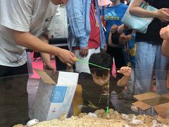 -东浩兰生上海世博展览馆