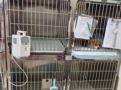 -美联众合动物医院·24h京西诊疗中心
