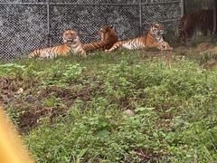 -乐和乐都主题乐园