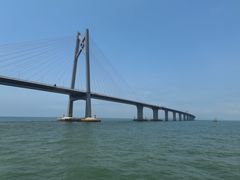 -招商蛇口邮轮母港(观光客运)