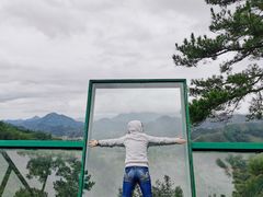 -天目山大树王景区