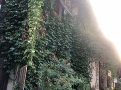 -杭州西湖风景名胜区-北街寻梦