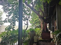 -喜洲吧·江畔老船厂·庭院餐厅(喜临院店)