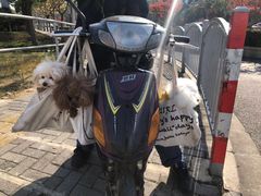 -上海市第七人民医院