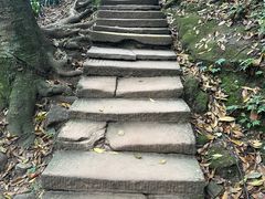 -青城山