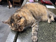 -协和菜馆(凤凰街店)