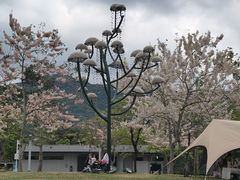 -白石龙音乐公园