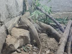 -福州动物园