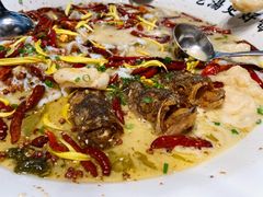 老坛酸菜鲈鱼-江渔儿酸菜鱼(港湾1号店)