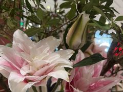 -眉州东坡(民族园店)