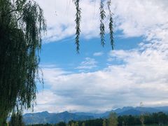 -洨河生态公园