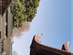 -苏州文庙(姑苏区)