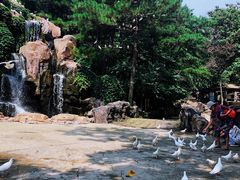 -燕塞湖鸟语林景区