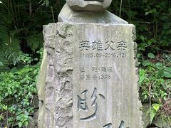 -都江堰中华大熊猫苑