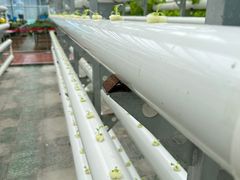 -兰陵国家农业公园