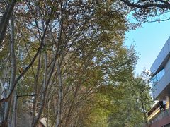 -西安电影制片厂