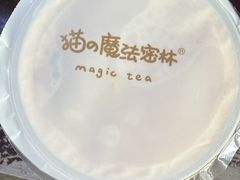 -猫的魔法密林(衣裳街店)