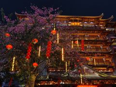 -大佛寺高级素食自助餐厅